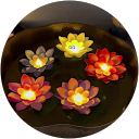 deepa serai profile picture